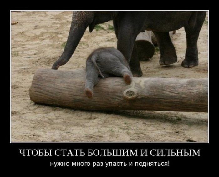 Демотиваторы