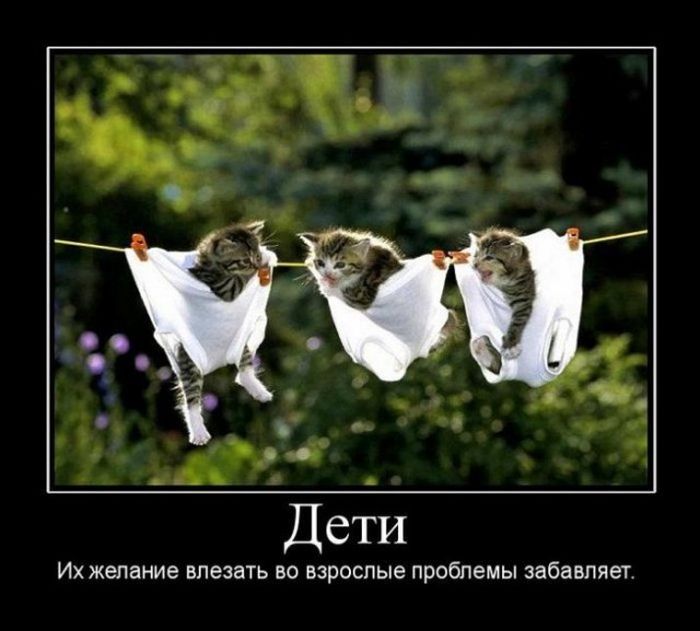 Демотиваторы