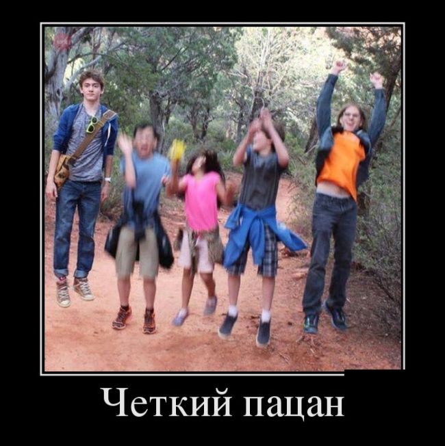 Демотиваторы