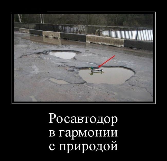 Демотиваторы