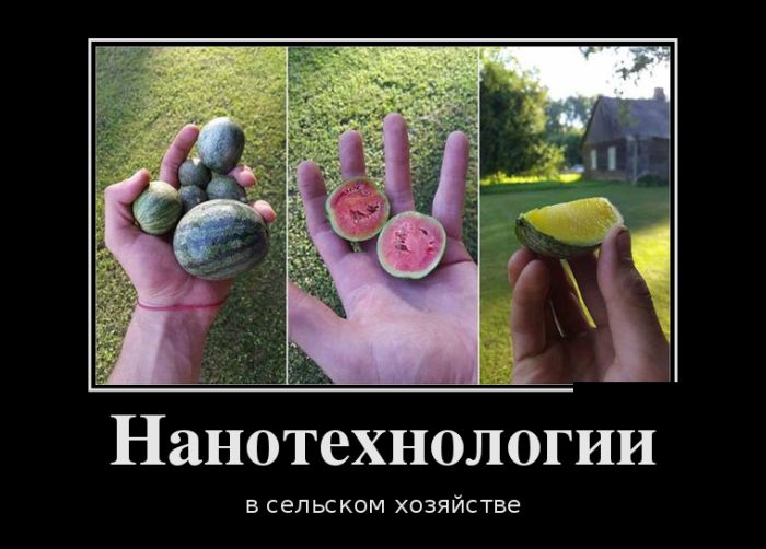 Демотиваторы