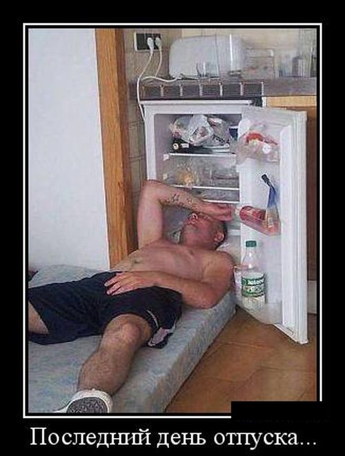 Демотиваторы
