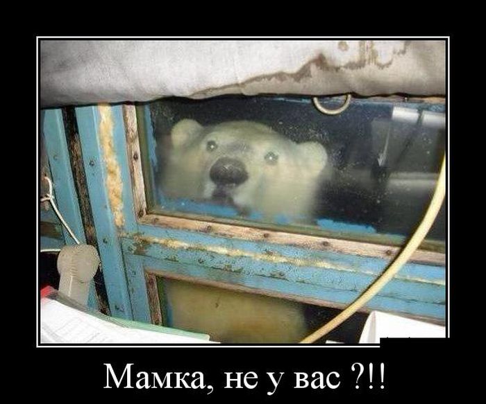 Демотиваторы