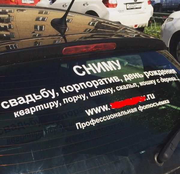 Забавные картинки
