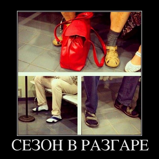Демотиваторы
