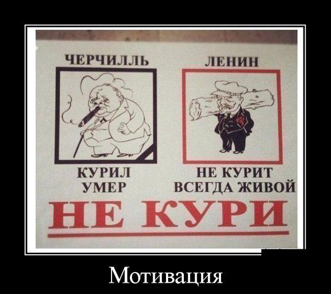 Демотиваторы