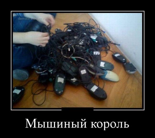Демотиваторы