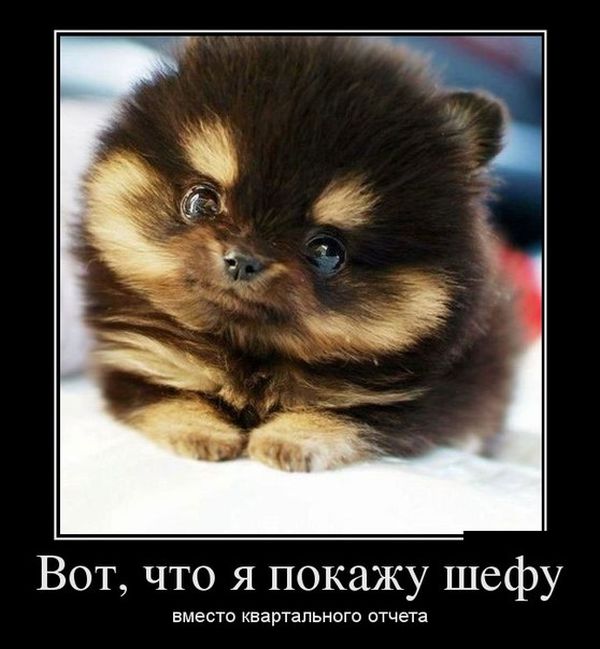 Демотиваторы