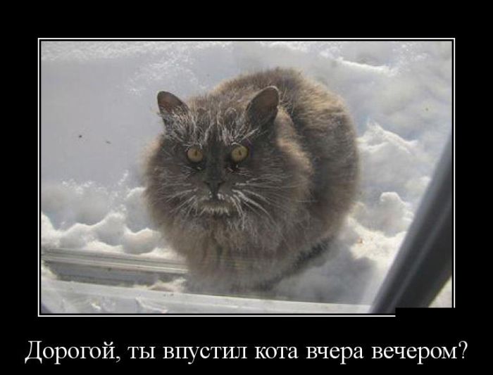 Демотиваторы