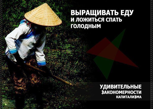 Счастливый мир капитализма