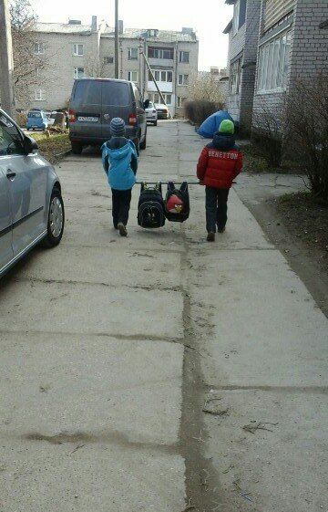 Забавные картинки