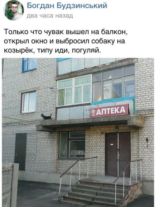 Забавные картинки