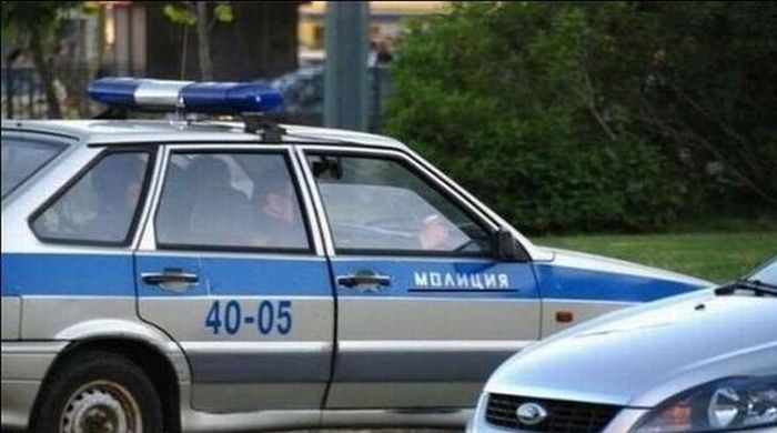 Забавные картинки