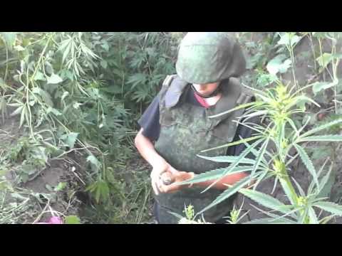 Загадочный край – Донбасс