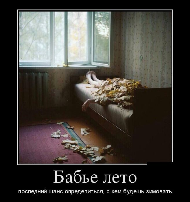 Демотиваторы