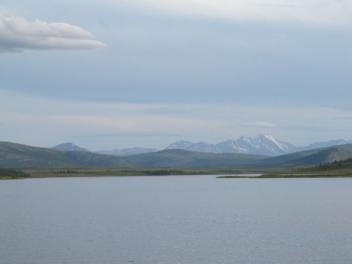Природа Сибири и Алтая
