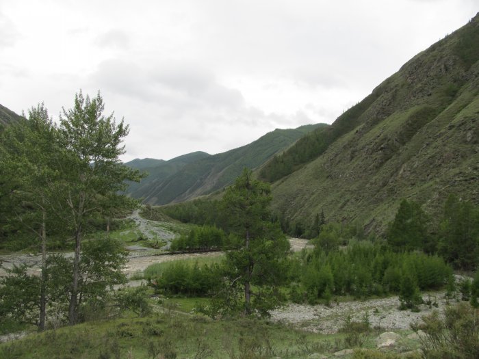 Природа Сибири и Алтая