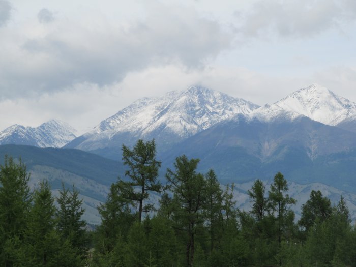 Природа Сибири и Алтая