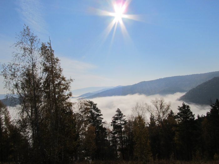 Природа Сибири и Алтая