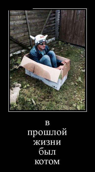Демотиваторы