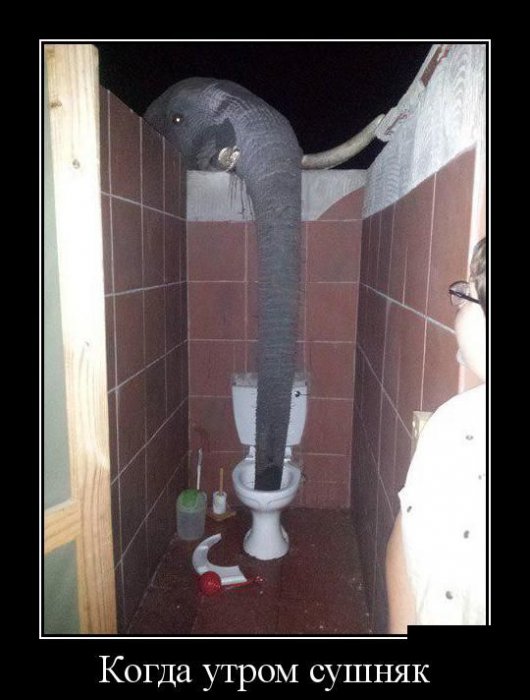 Демотиваторы