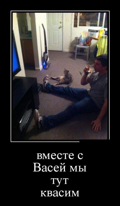 Демотиваторы