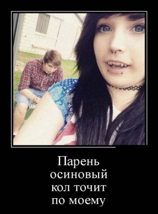 Демотиваторы