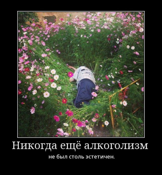 Демотиваторы