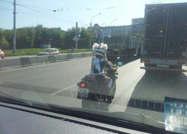 Забавные картинки