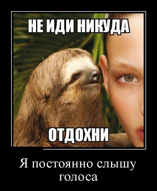 Демотиваторы