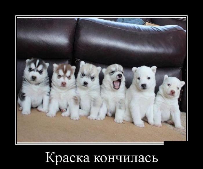 Демотиваторы