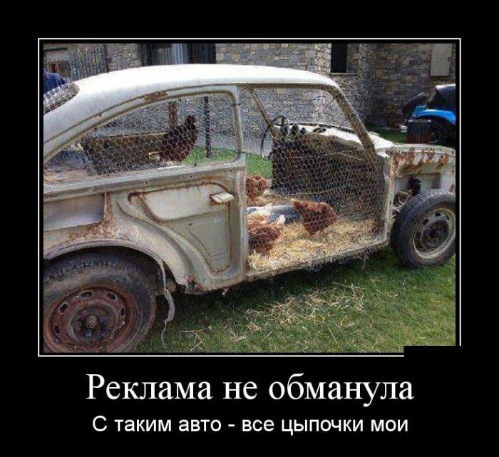 Демотиваторы