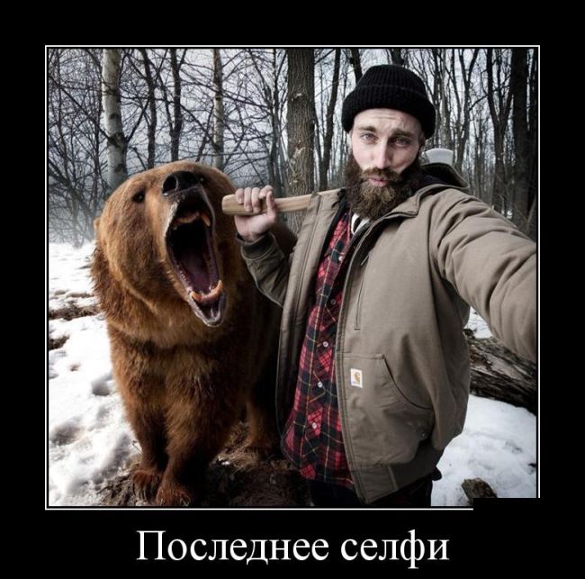 Демотиваторы