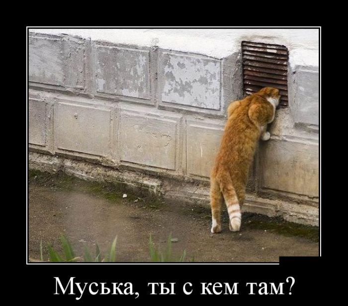 Демотиваторы