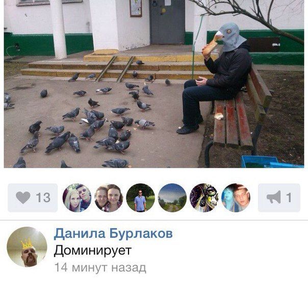 Забавные картинки