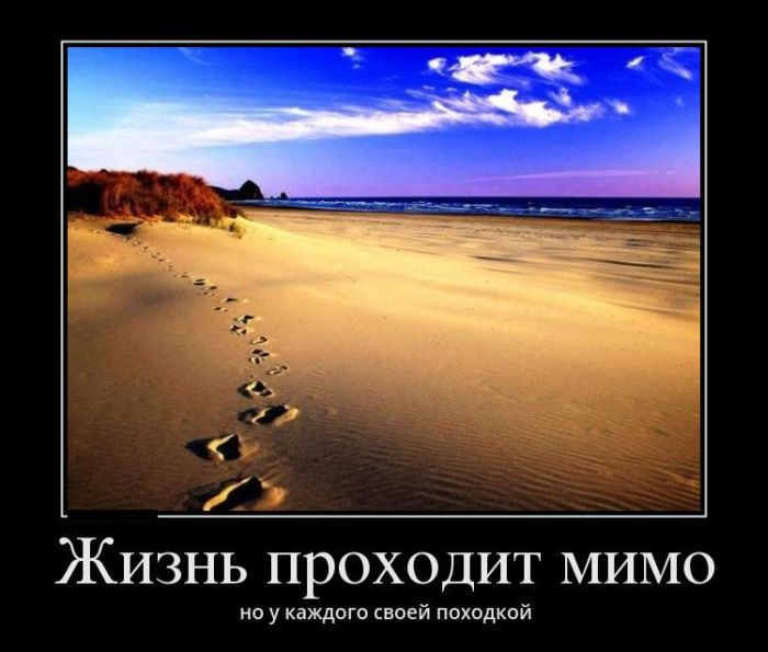 Демотиваторы