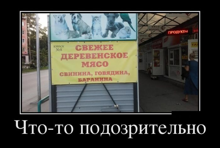 Демотиваторы