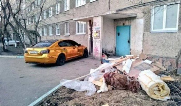 Забавные картинки