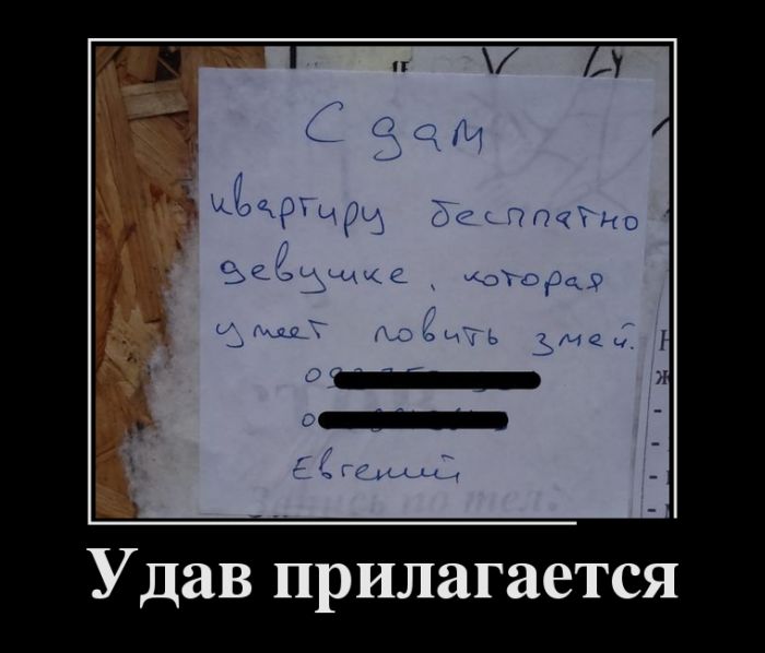 Демотиваторы