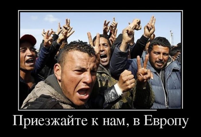 Демотиваторы