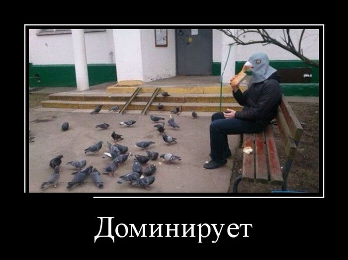 Демотиваторы