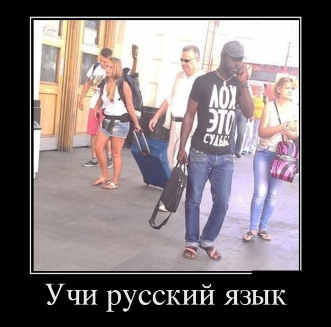 Демотиваторы