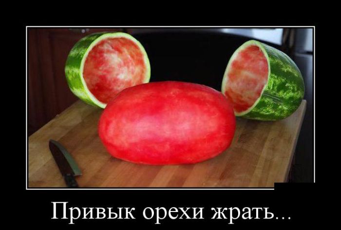 Демотиваторы