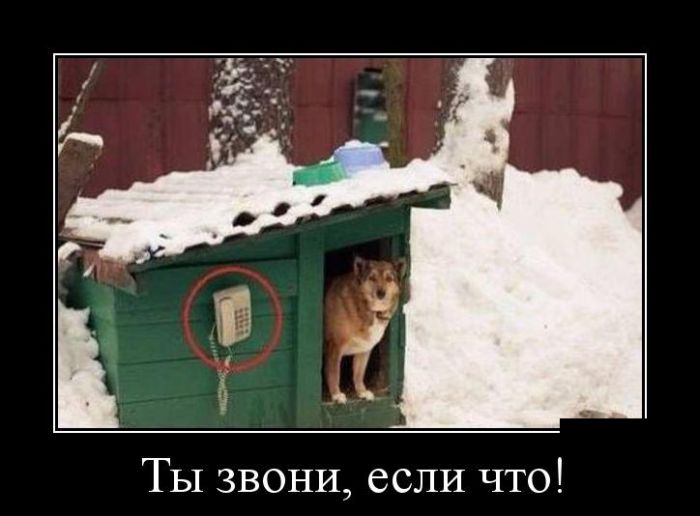 Демотиваторы