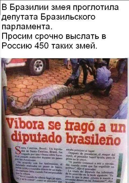 Порция картинок