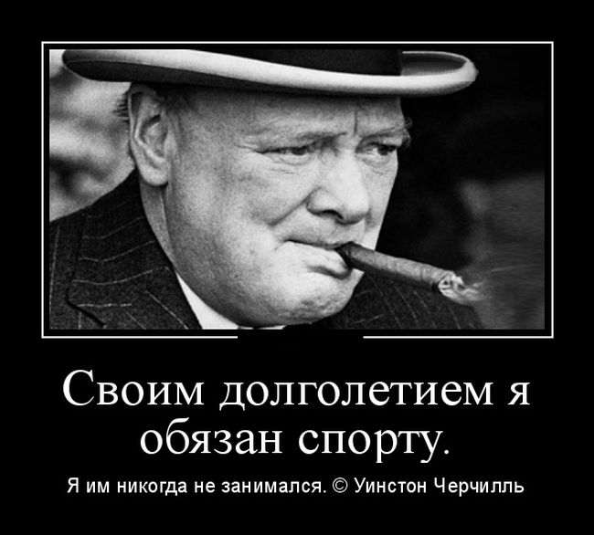Демотиваторы
