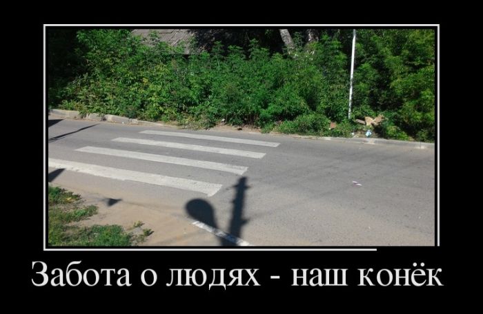 Демотиваторы