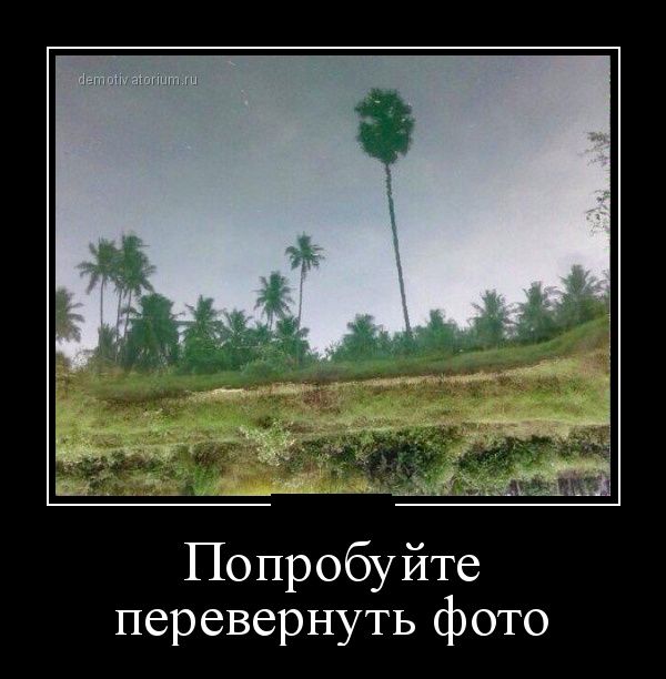 Демотиваторы