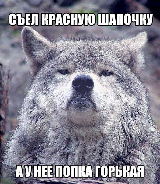 Порция картинок