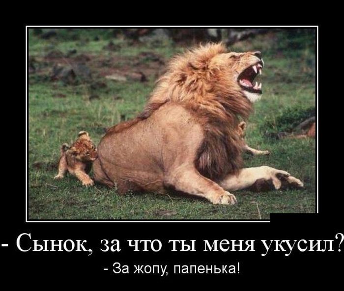Демотиваторы